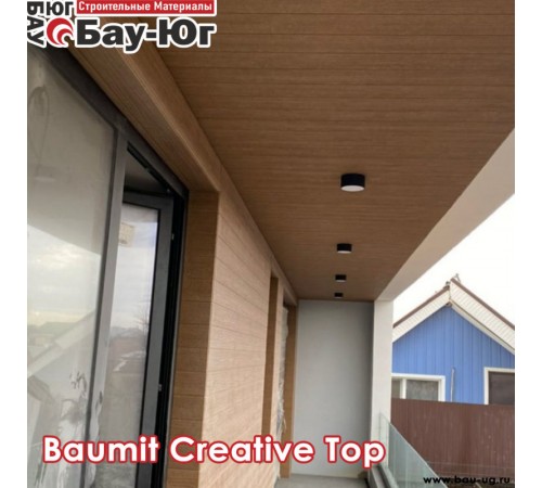 МОДЕЛИРУЕМАЯ ШТУКАТУРКА BAUMIT CREATIV TOP Max 4мм