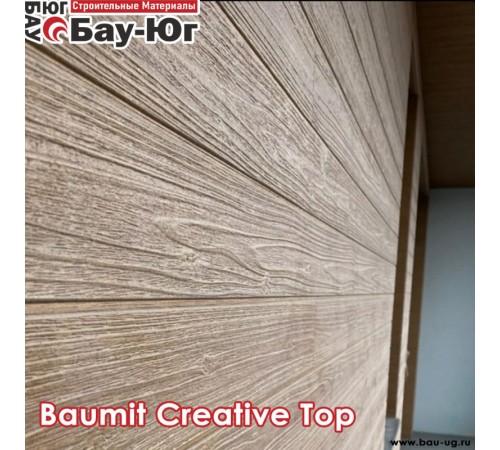 МОДЕЛИРУЕМАЯ ШТУКАТУРКА BAUMIT CREATIV TOP Max 4мм